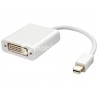 Mini DP to DVI Adapter Converter White