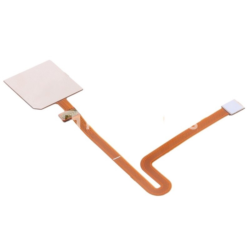 Fingerprint Flex Cable Blue LG K50