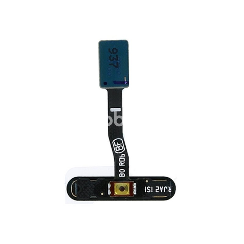Fingerprint Yellow Flat Cable Samsung SM-G970F S10e