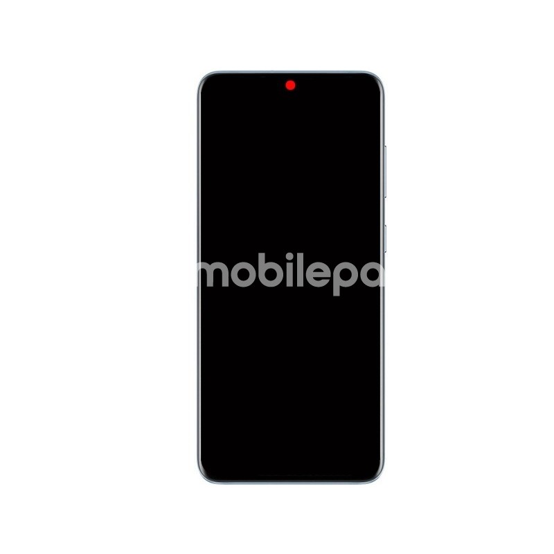 Display Touch + Frame Grey Samsung SM-G985 - G986 S20+ Ori