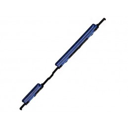 Power On + Volume Blue...