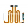 Fingerprint White Flex Cable Samsung SM-A135 A13