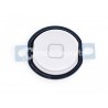 Tasto Bianco Home + Membrana iPad Air