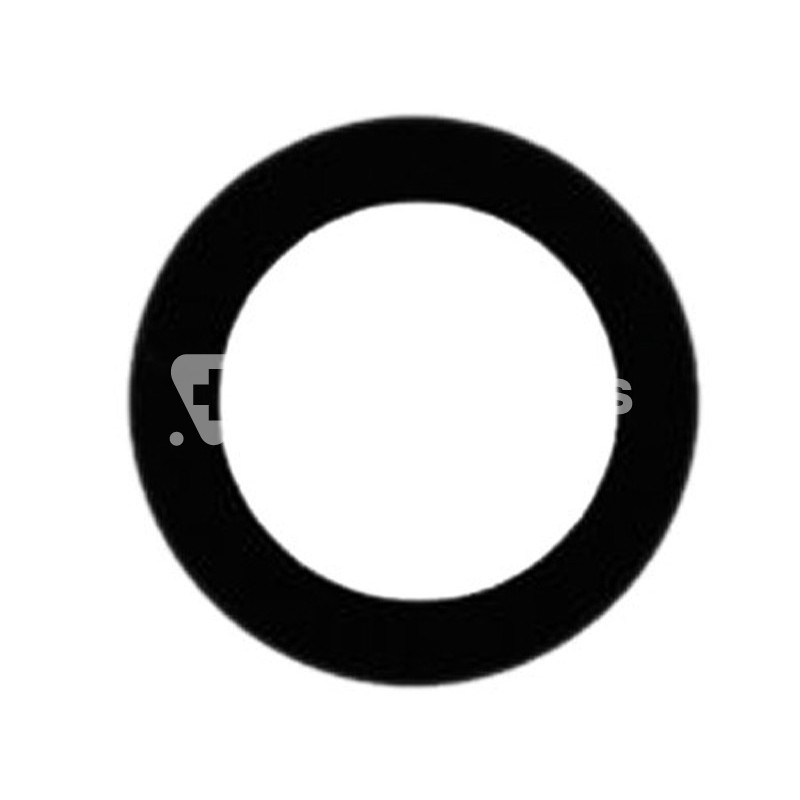 Back Camera Lens iPad Mini 3