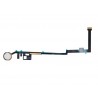 Joystick Gold Flat Cable iPad 2017 (A1822-A1823)