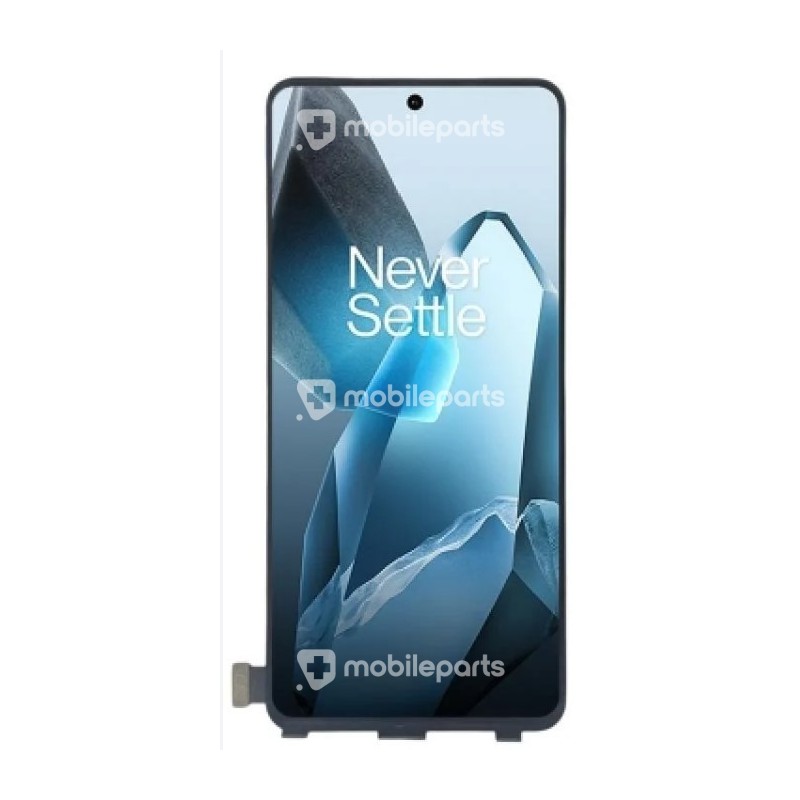 Display Touch Black OnePlus 13 Ori
