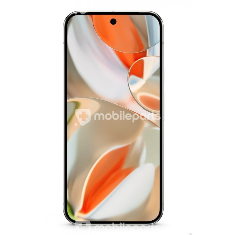 Display Touch + Frame Black Google Pixel 9 Pro XL (Ori)