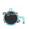 Joystick for Nintendo Switch 2 Consoles Blue Ori