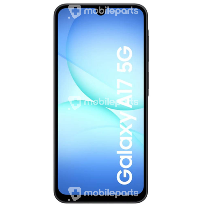 Display Touch Black + Frame Samsung SM-A176  A17 5G (IPS)