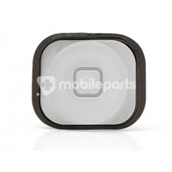 Tasto Home Bianco + Membrana Iphone 5