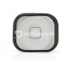 Tasto Home Bianco + Membrana Iphone 5