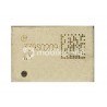 IC Wifi 339S0209 iPhone 5C