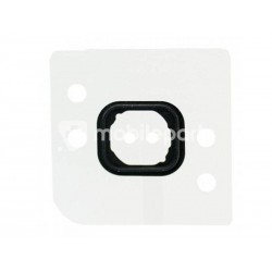 iPhone 6 & 6 Plus Guarnizione Home Button