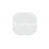 Joystick Esterno Bianco Ipod Touch 5 
