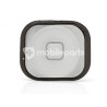 Iphone 5 White Home Button + Membrane