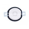 iPad Air White Home Button + Membrane