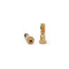 iPhone 6S - 6S Plus Pair of Gold Tightening Screws