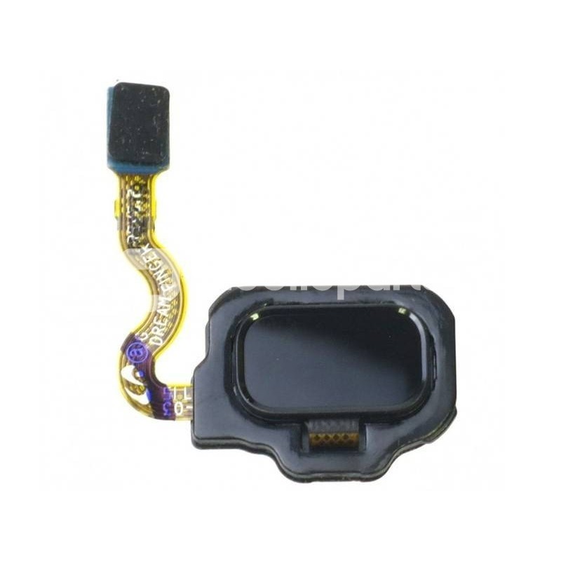 Home Button Black Samsung SM-G950 S8 Ori