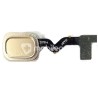 Home Button Gold Flat Cable Samsung SM-A600 A6 2018