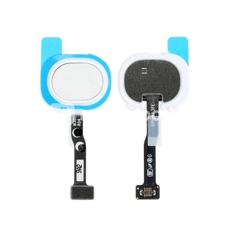Fingerprint White Flat Cable Samsung SM-M307 M30s