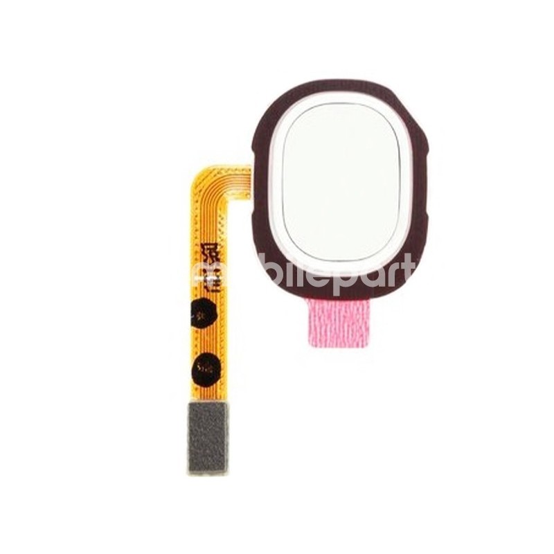 Fingerprint Flat Cable White Samsung SM-A202 A20e Ori