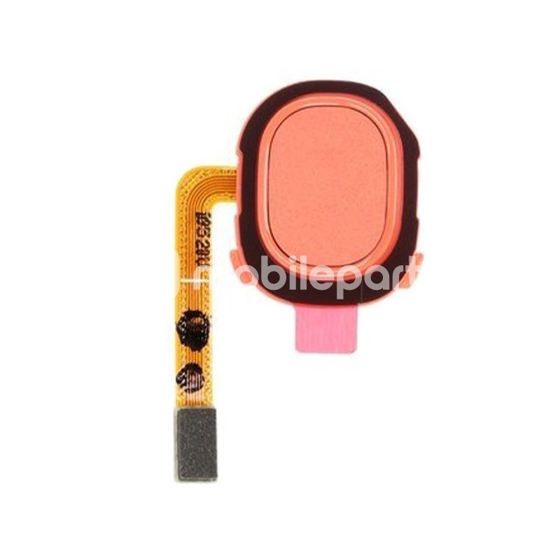 Fingerprint Flat Cable Coral Samsung SM-A202 A20e Ori