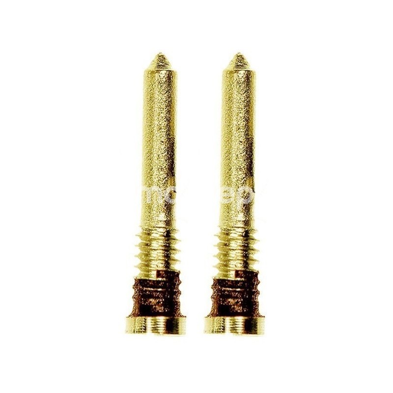 Charging Port Screws Gold iPhone 12 Pro