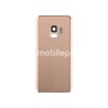 Rear Cover Gold + Camera Lens Samsung SM-G960 S9 No Logo