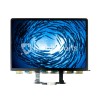 Display MacBook Pro Retina 13 (A2338)