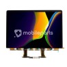 Display MacBook Pro Retina 13 (A1989) - MacBook Pro Retina 13 (A2159)