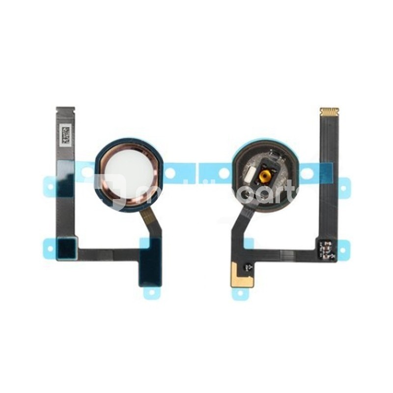 Fingerprint Gold Flex Cable iPad Mini 5