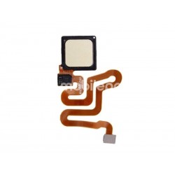 Fingerprint Gold Flat Cable Huawei P9