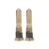 Pair Closure Screws Light Gold iPhone Air