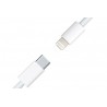 Cable Lightning - Type C 20W